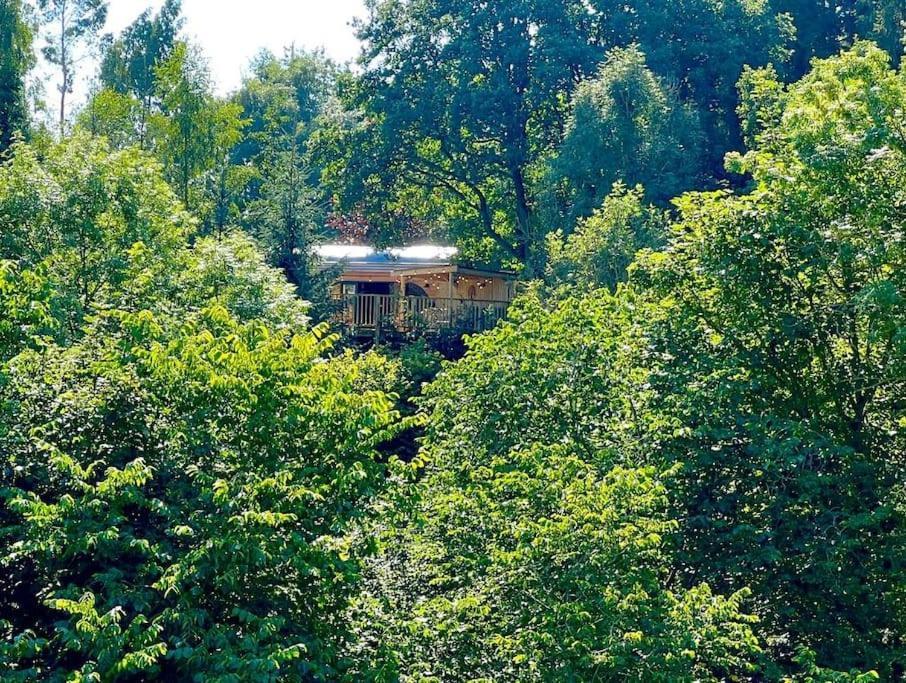 The Pines Treehouse At Treetops Hideouts Ричмънд Екстериор снимка