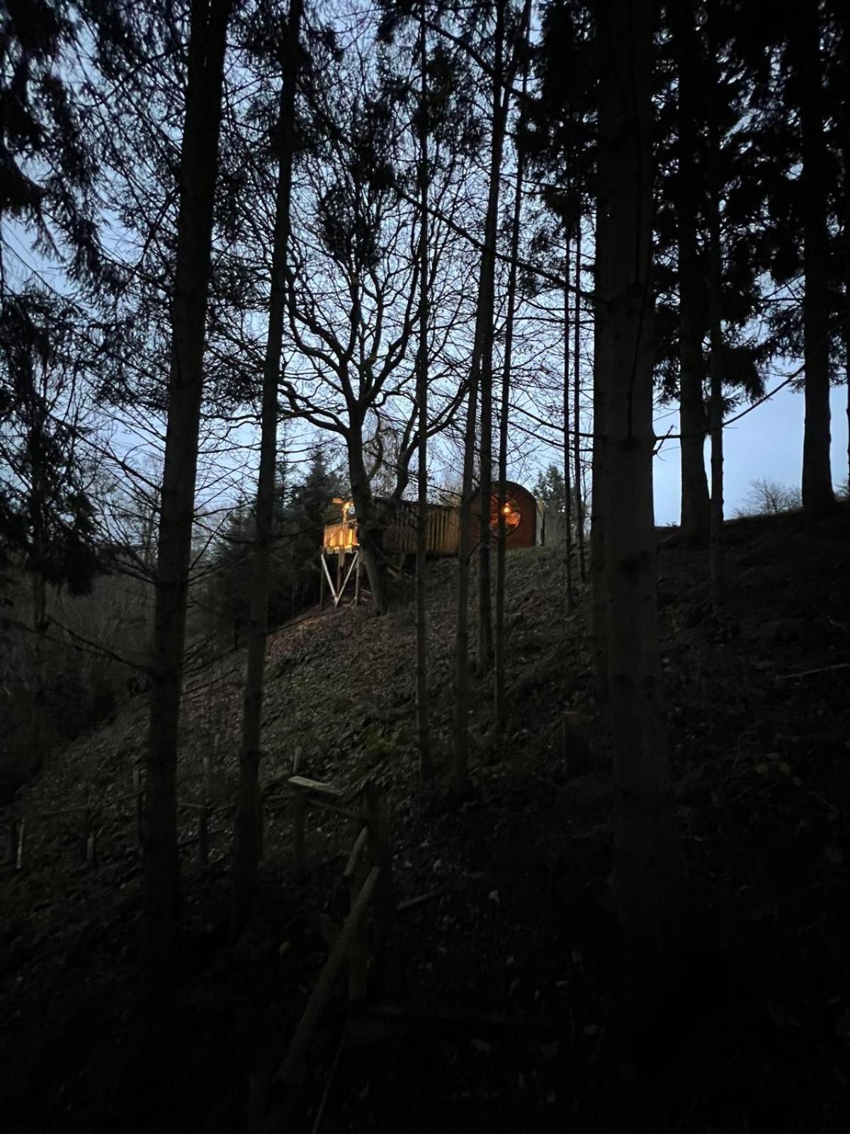 The Pines Treehouse At Treetops Hideouts Ричмънд Екстериор снимка