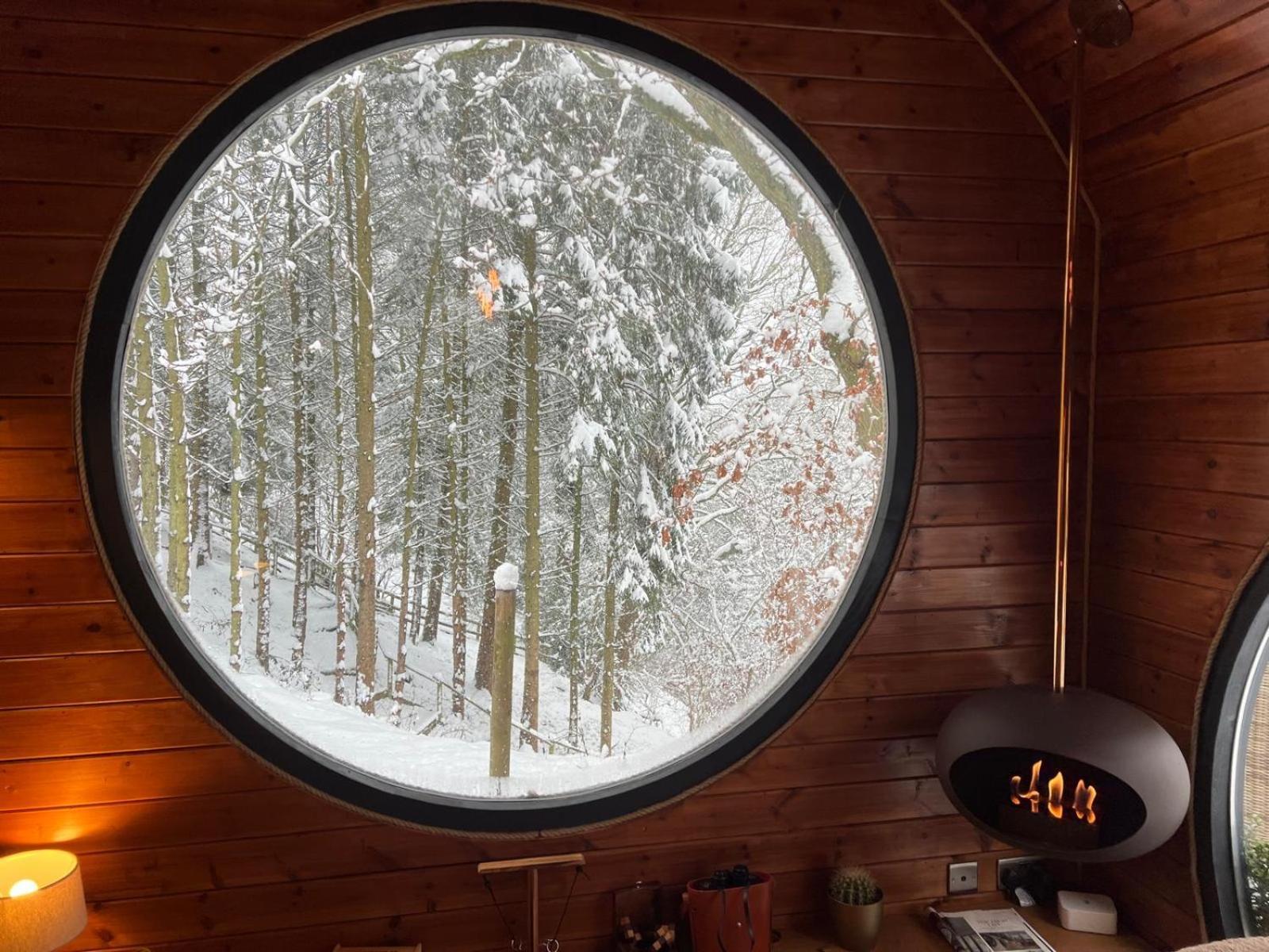 The Pines Treehouse At Treetops Hideouts Ричмънд Екстериор снимка